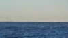 p1030897_small.jpg