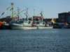 photo74_small.jpg