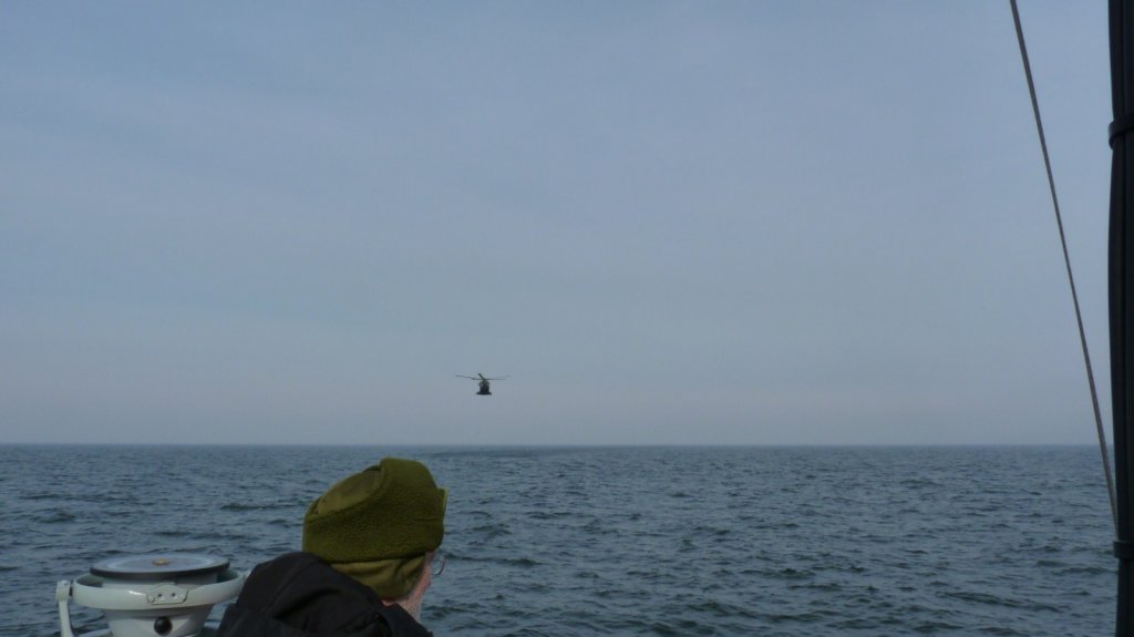 photo11.jpg
