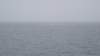 p1040044_small.jpg