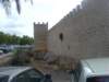 dsc00308_small.jpg