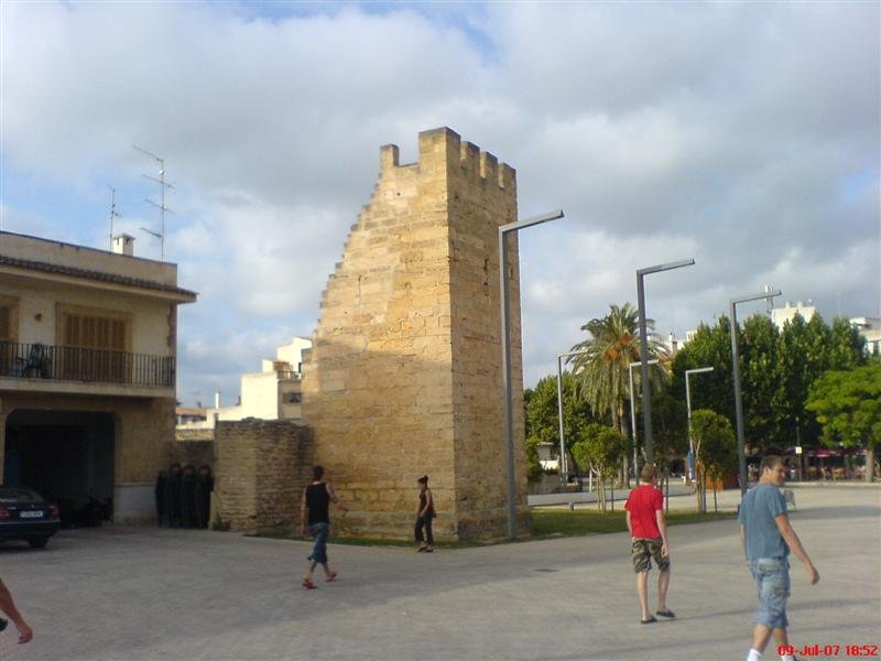 dsc00310.jpg