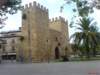 dsc00311_small.jpg