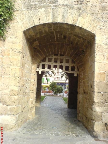 dsc00313.jpg