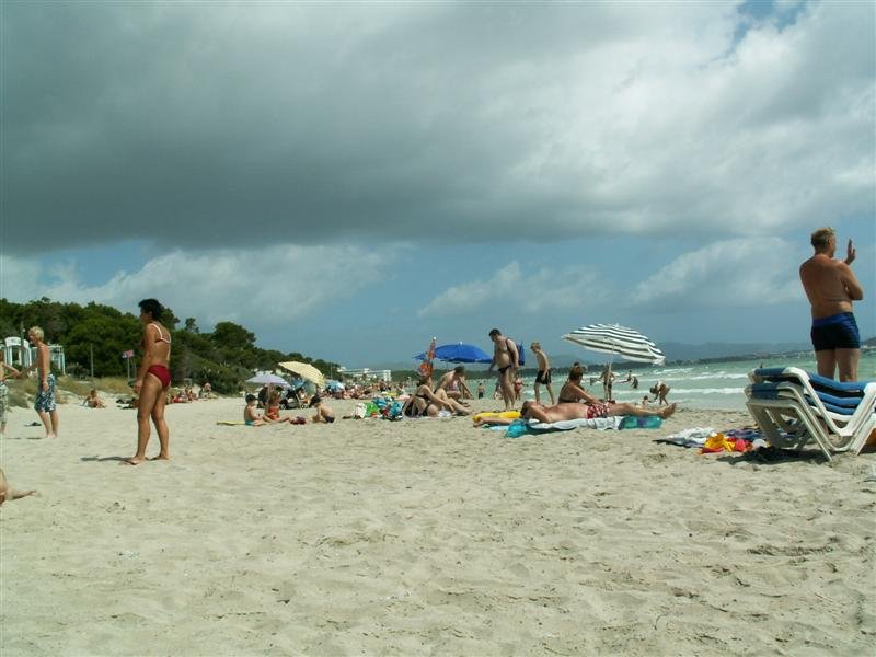 pict0586.jpg