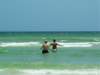 pict0591_small.jpg