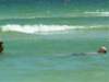 pict0597_small.jpg