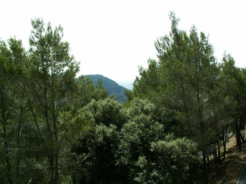 pict0682.jpg