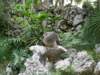 pict0717_small.jpg