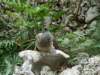 pict0718_small.jpg
