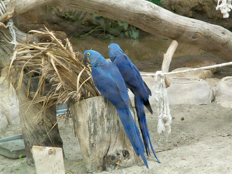pict0723.jpg