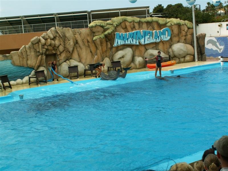 pict0745.jpg
