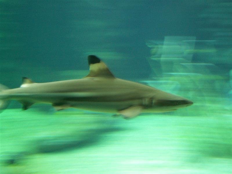 pict0776.jpg
