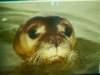 pict0780_small.jpg