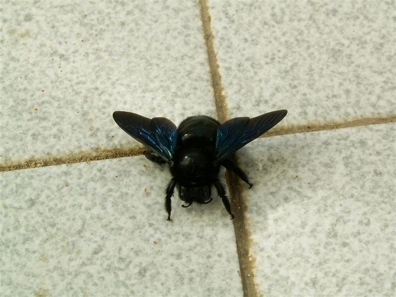 pict0802.jpg