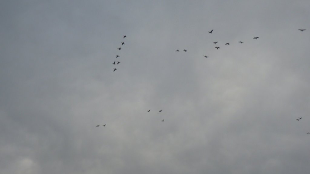 photo143.jpg