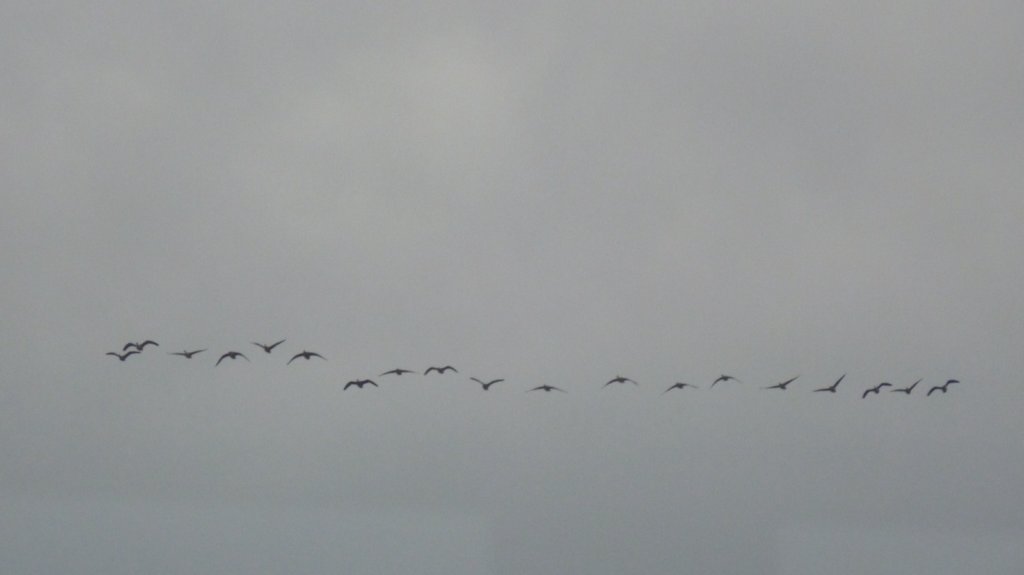 photo144.jpg