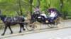 photo386_small.jpg