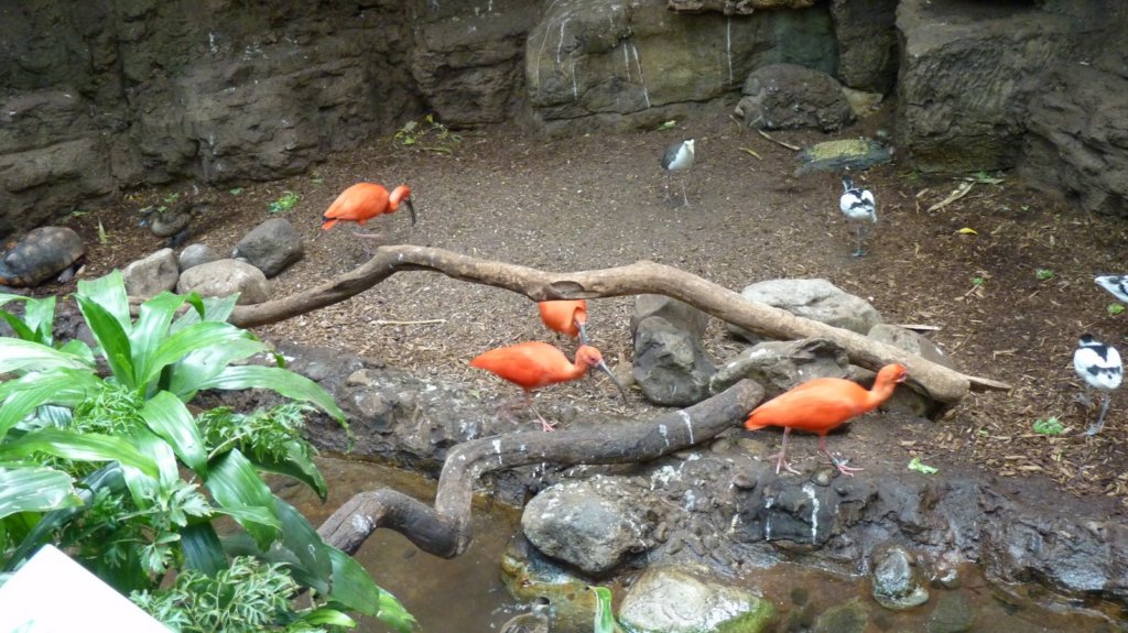 photo412.jpg