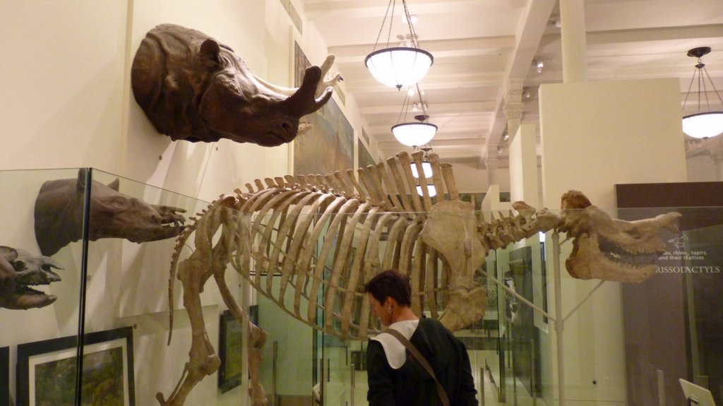 photo65.jpg