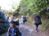 photo124_small.jpg