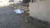 photo1266_small.jpg