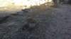 photo1267_small.jpg