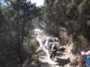 photo1863_small.jpg
