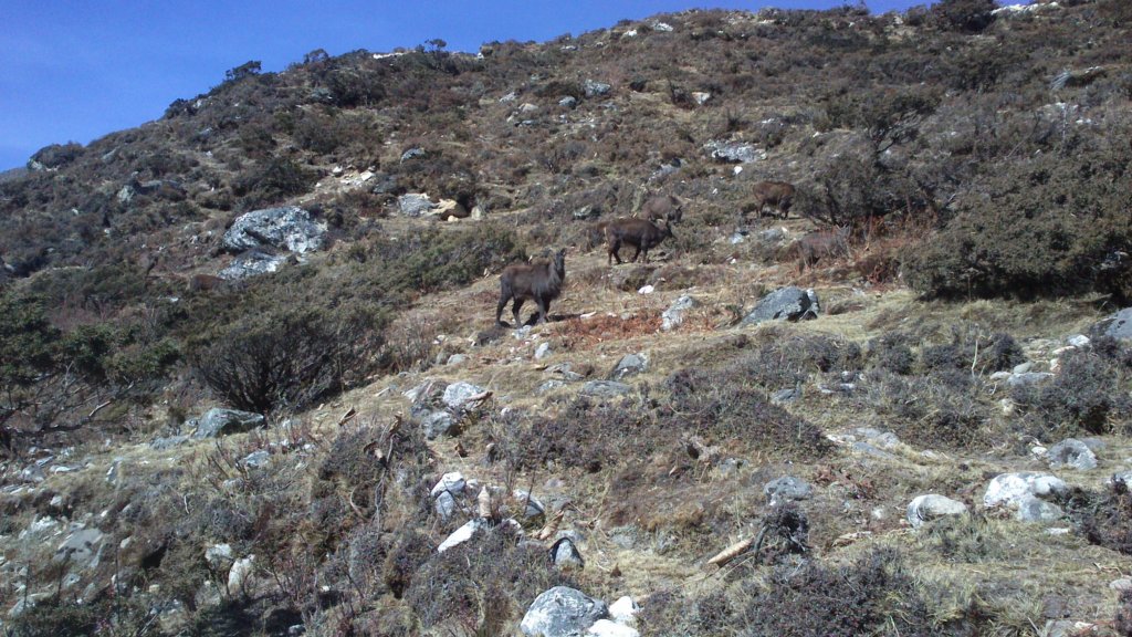 photo1935.jpg