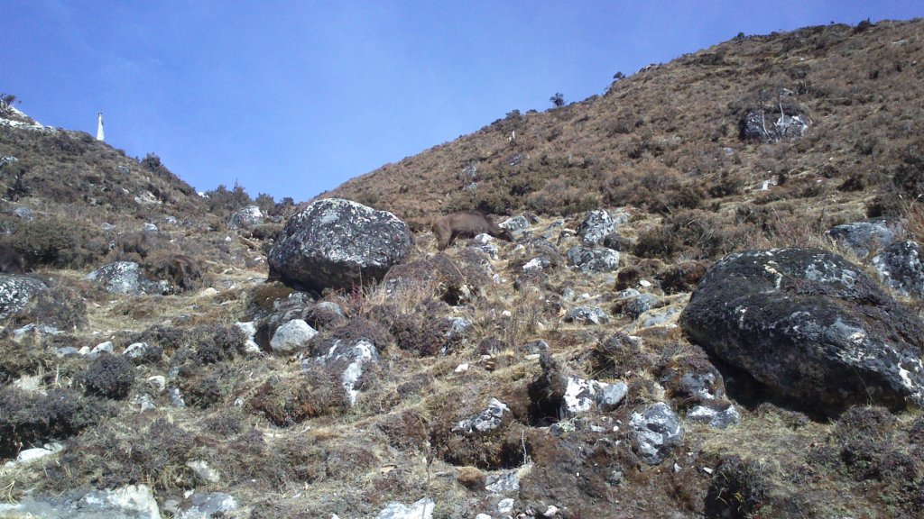 photo1943.jpg