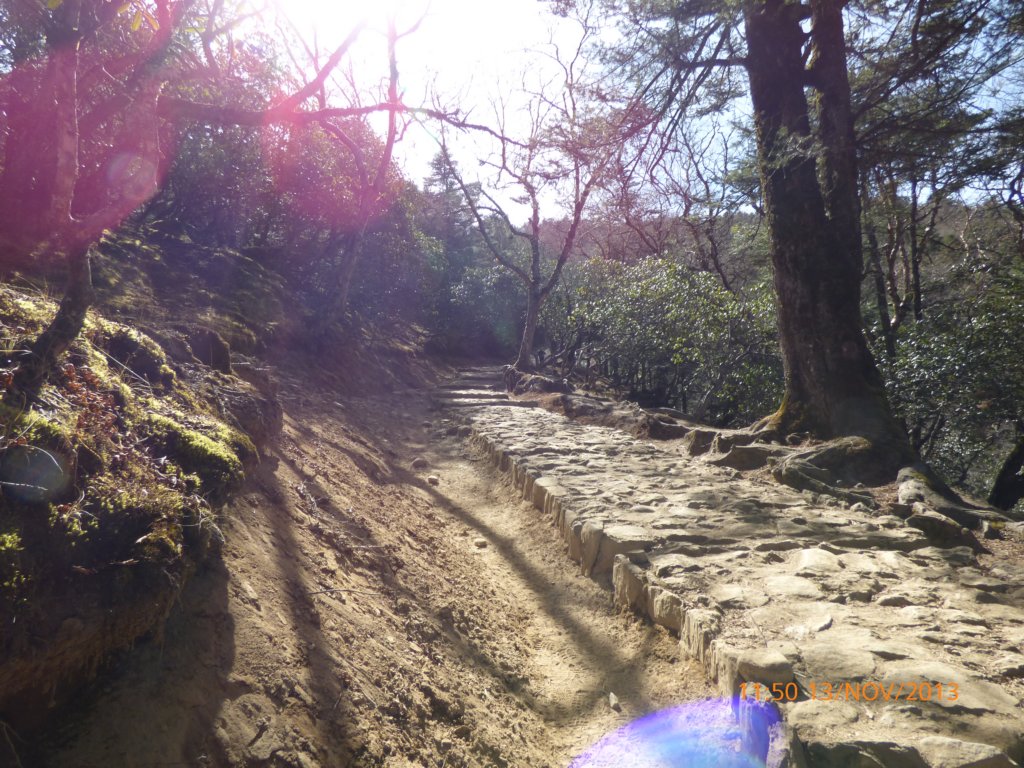 photo2004.jpg