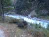 photo233_small.jpg