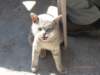 photo261_small.jpg