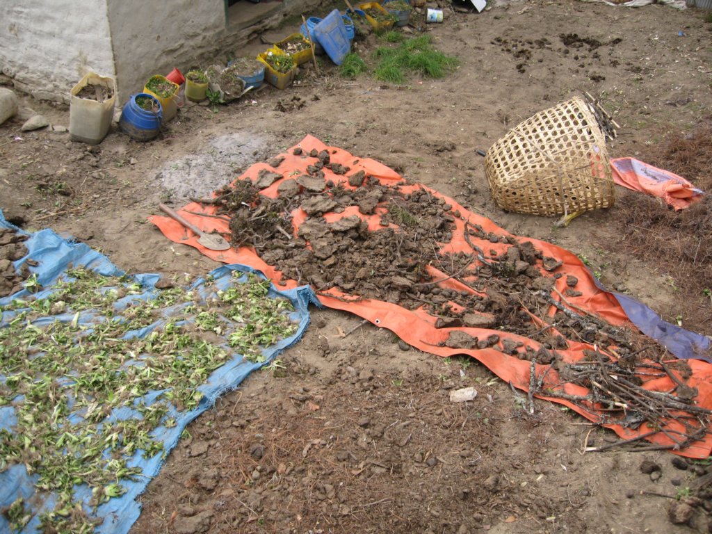 photo276.jpg