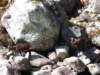 photo278_small.jpg