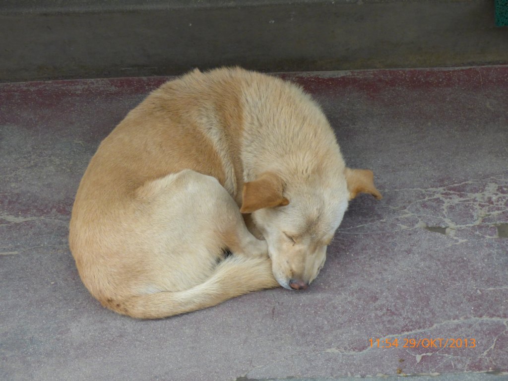 photo37.jpg