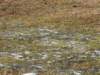 photo775_small.jpg