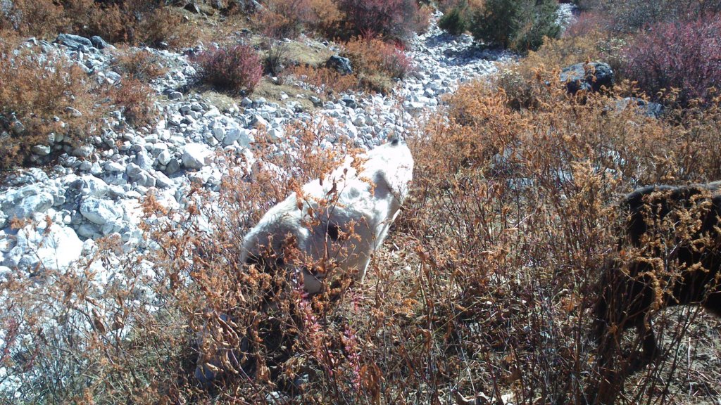 photo869.jpg