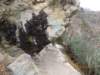 photo930_small.jpg