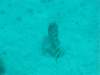 billed119_small.jpg