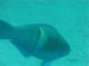 billed122_small.jpg