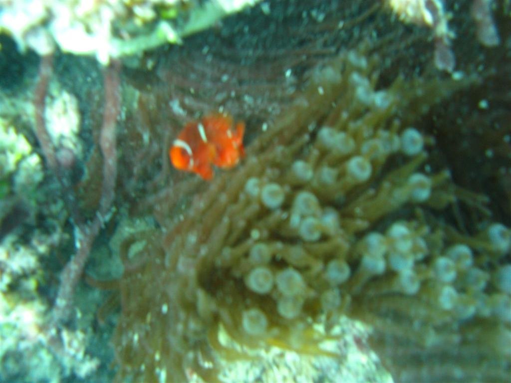 billed128.jpg