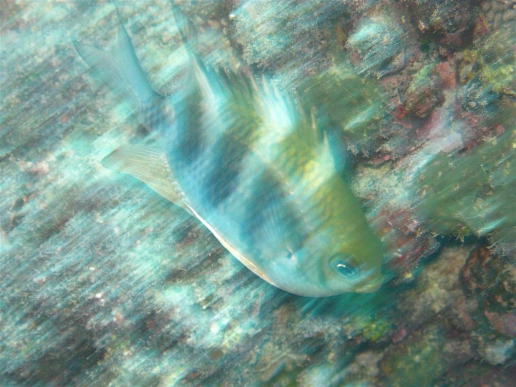 billed19.jpg
