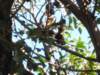 p7040011_small.jpg
