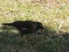 p7050020_small.jpg