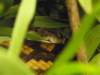 p7090134_small.jpg