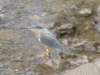 p7210186_small.jpg