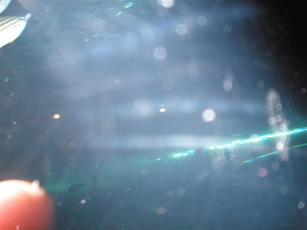 p7280282.jpg