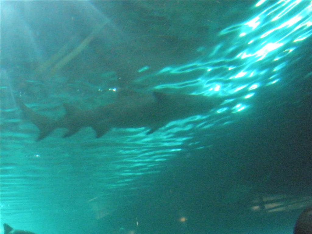 p7280283.jpg