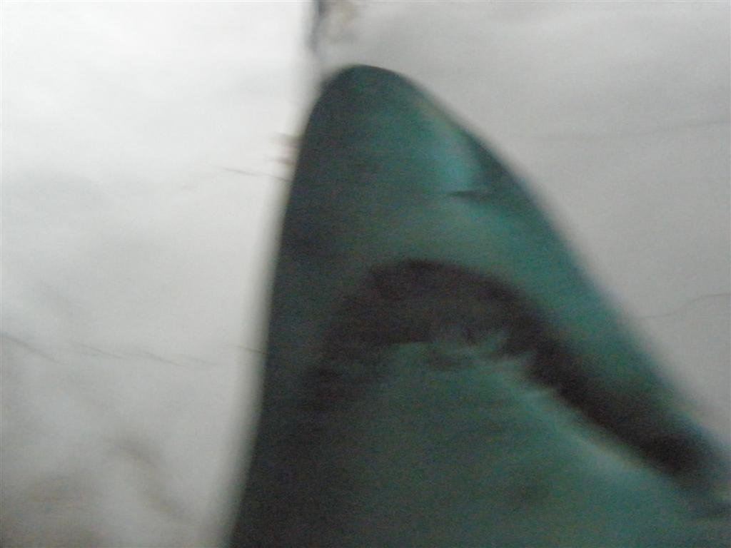 p7280292.jpg